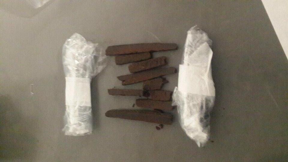 13435401_10209922678053224_5289461395431409101_n