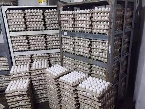 18,000 ביצים עם חותמת מזויפת נתפסו באשדוד