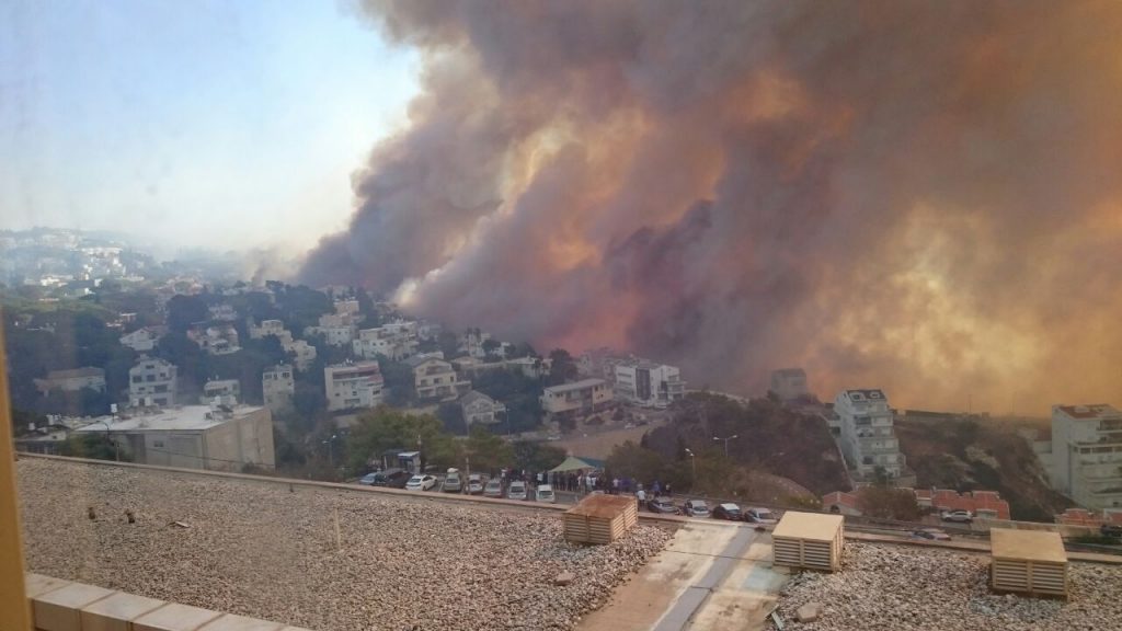 עיריית אשדוד בהתראה: חשש לשריפות ברחבי העיר