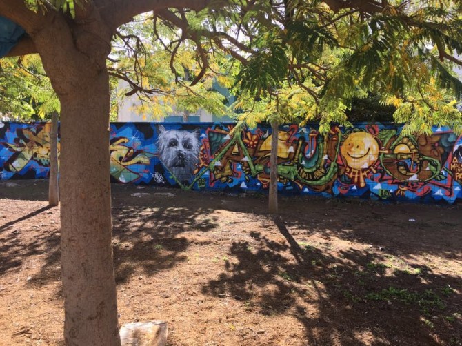 אומנות הגרפיטי בפארק הכלבים ברובע ח - צפו