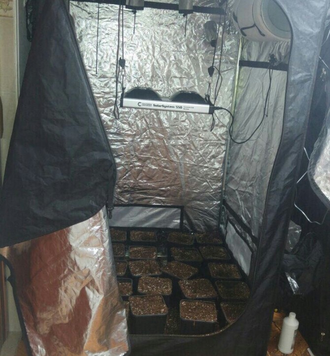 צפו: המשטרה חשפה מעבדת סמים ביחידת דיור ששכר תושב אשדוד