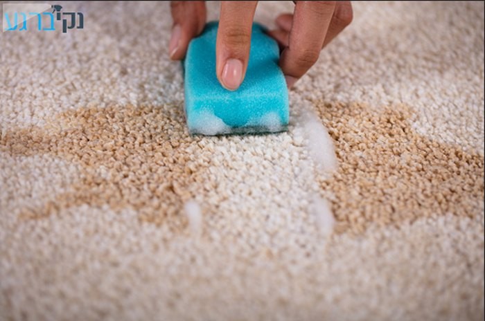 איך לנקות שטיחים באופן מקצועי?