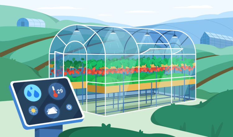 Flat greenhouse with smart futuristic tech for growing or automation watering plants. Agricultural cultivation with control digital wireless device. Farm industry with innovation technology management